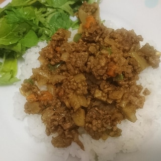 シャキシャキゴボウのドライカレー